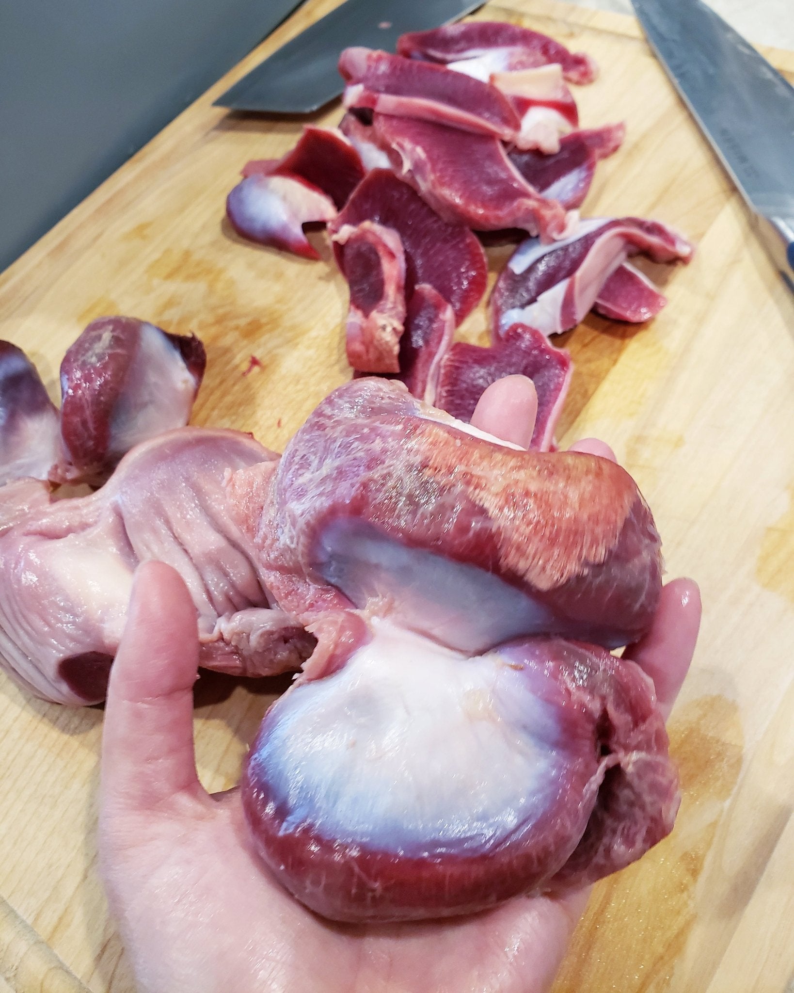 Turkey Gizzard (ABF) - Thin Cut - Ulti - Mutt Toys