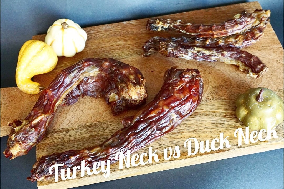 Turkey Neck - Ulti - Mutt Toys