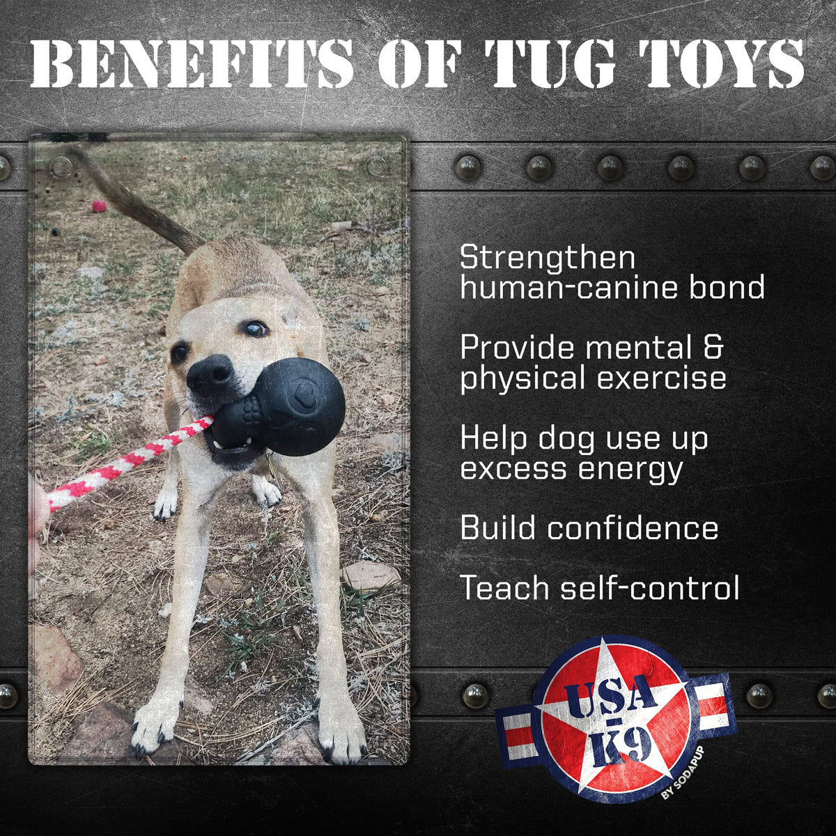 USA-K9 Magnum Skull - Black Magnum Rubber Chew Toy for Extreme Chewers | USA Made - Ulti-Mutt Toys