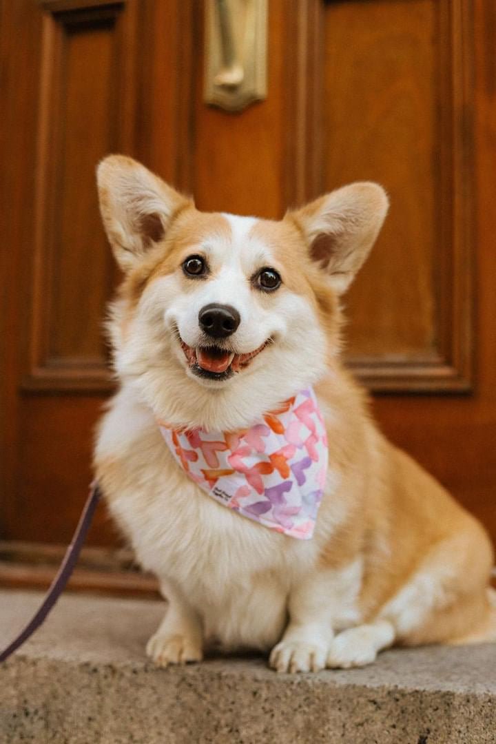 Watercolor Hearts Bandana - Ulti-Mutt Toys