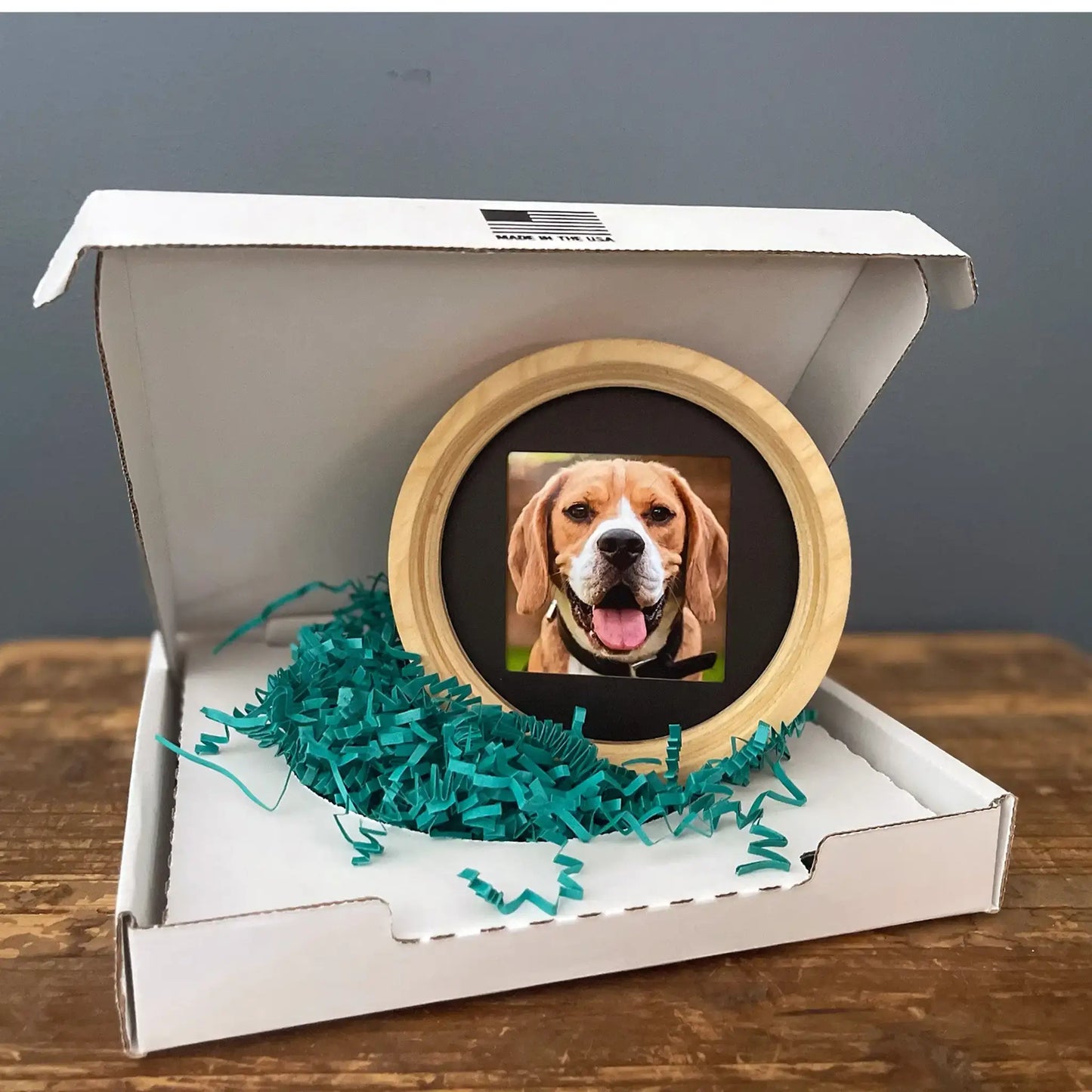 Medium Dog Collar Frame | "The Beagle"