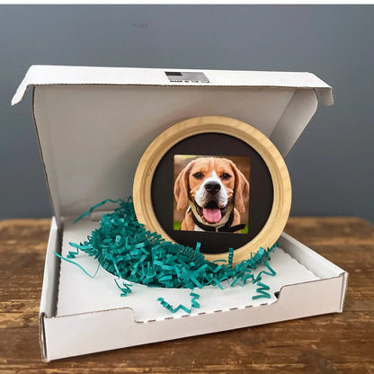 Medium Dog Collar Frame | "The Beagle"